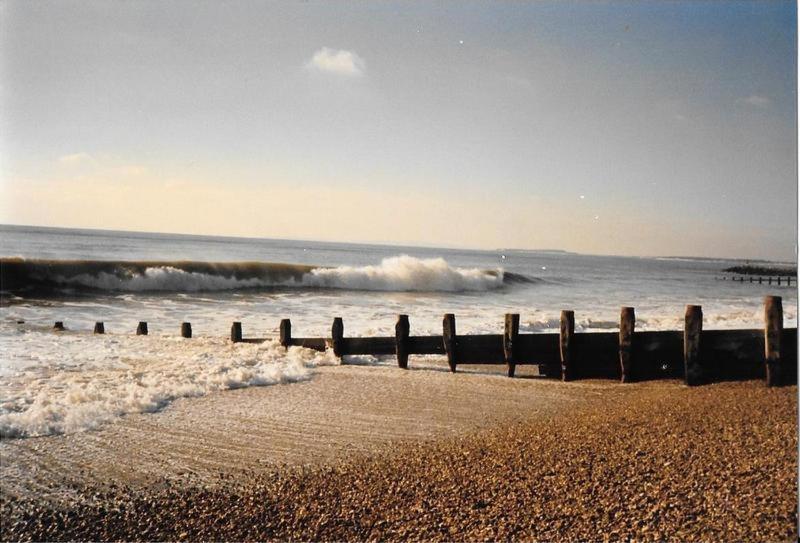 Pine Lodge Barton on Sea Eksteriør bilde